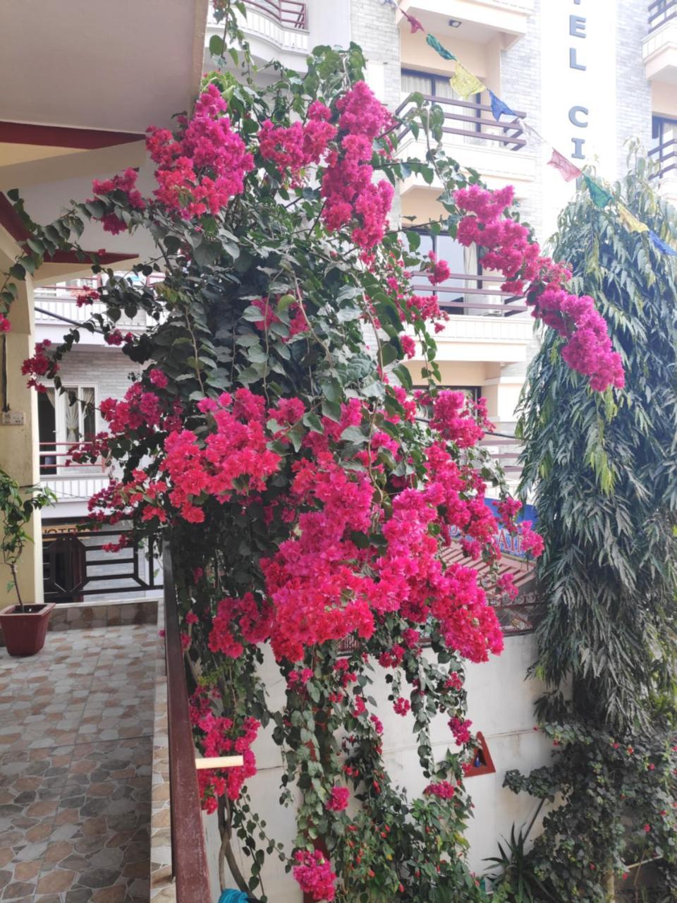 Hotel Angel Pokhara Eksteriør billede