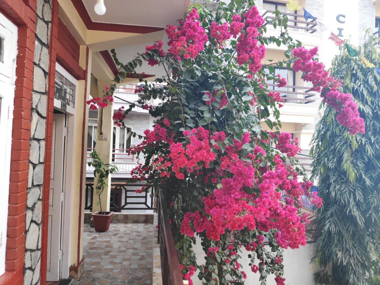 Hotel Angel Pokhara Eksteriør billede
